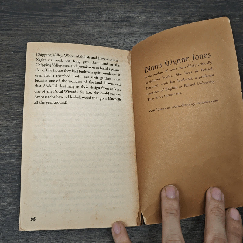 Castle in the Air - Diana Wynne Jones รูปที่ 8