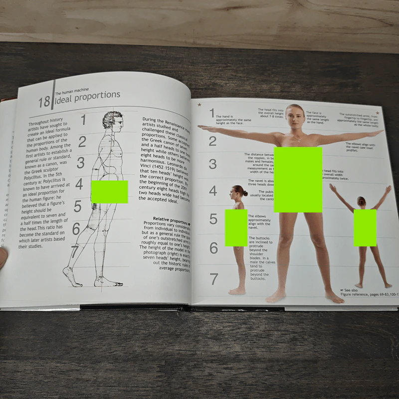 Body Parts - Mitchell Beazley รูปที่ 8