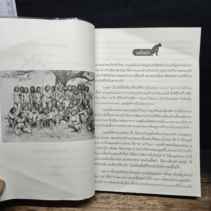 วิวัฒนาการเผ่าพันธุ์มนุษย์ - ธวัลกร ฉัตราธรรม รูปที่ 7