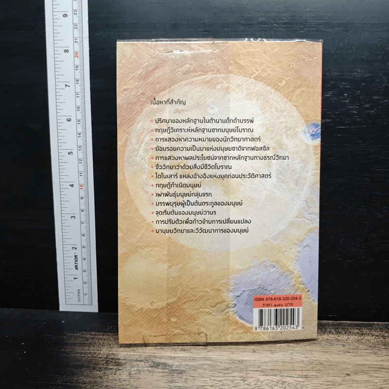 วิวัฒนาการเผ่าพันธุ์มนุษย์ - ธวัลกร ฉัตราธรรม รูปที่ 2