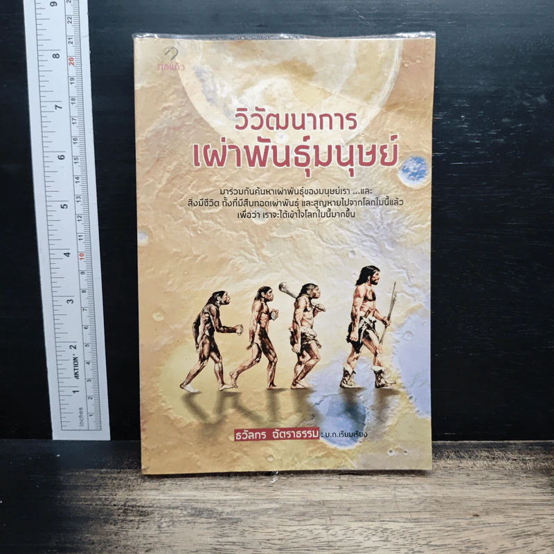 วิวัฒนาการเผ่าพันธุ์มนุษย์ - ธวัลกร ฉัตราธรรม รูปที่ 1