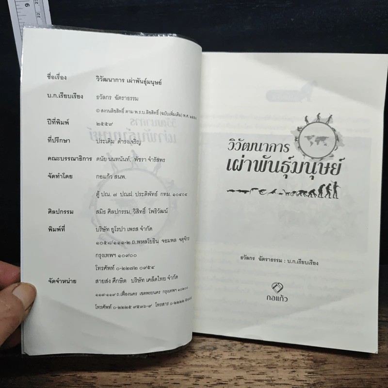 วิวัฒนาการเผ่าพันธุ์มนุษย์ - ธวัลกร ฉัตราธรรม รูปที่ 6