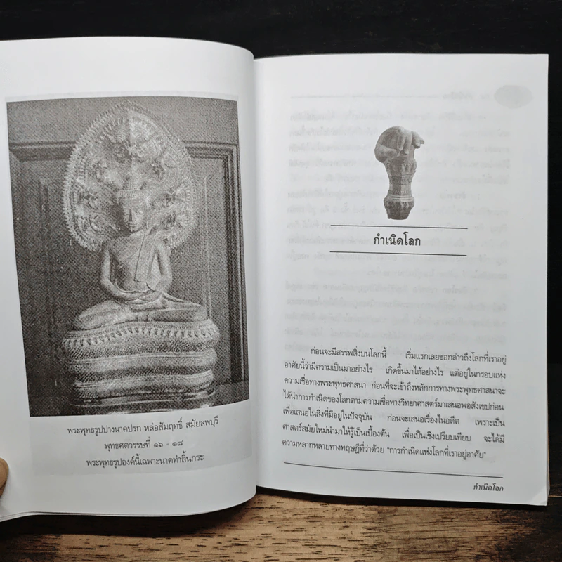 กว่าจะมาเป็นพระพุทธเจ้า 5 พระองค์ - พระมหา ดร. สุขพัฒน์ อนนท์จารย์ รูปที่ 9