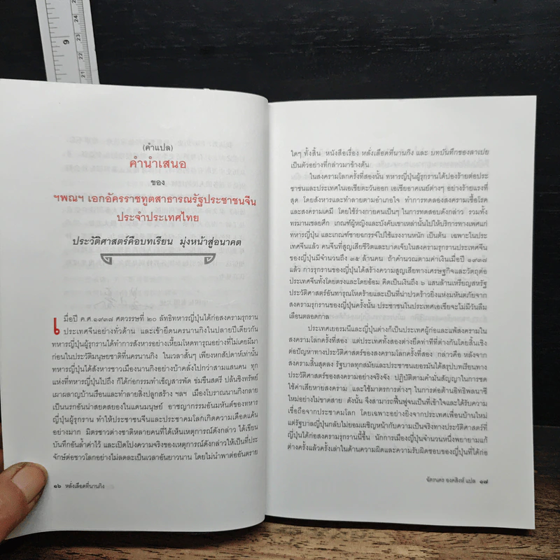 หลั่งเลือดที่นานกิง - ฉัตรนคร องคสิงห์ รูปที่ 8