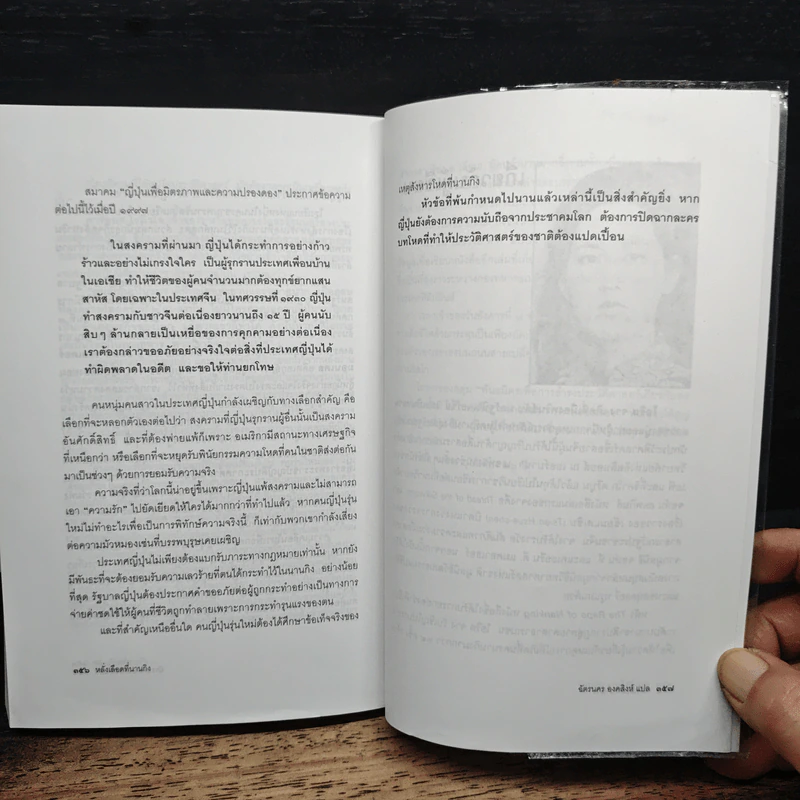 หลั่งเลือดที่นานกิง - ฉัตรนคร องคสิงห์ รูปที่ 10