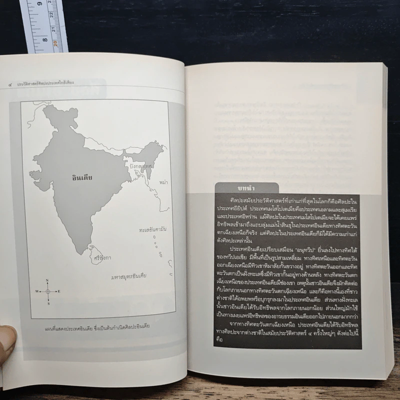 หนังสือ ประวัติศาสตร์ศิลปะประเทศใกล้เคียง : อินเดีย ลังกา ชวา จาม ขอม พม่า ลาว - สุภัทรดิศ ดิศกุล รูปที่ 8