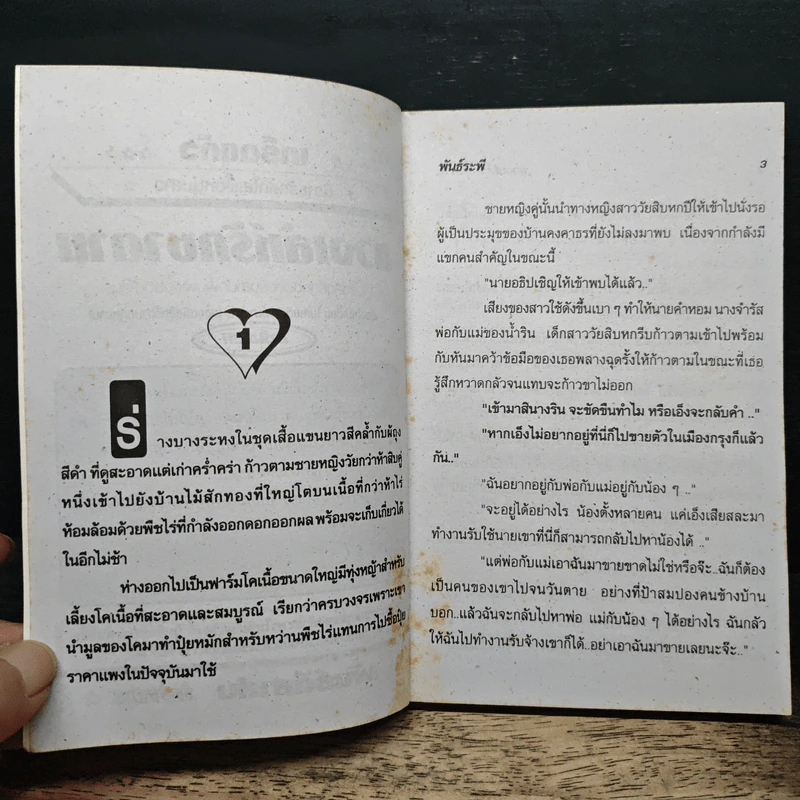 รวมนิยายรักหวาน 3 in 1 รูปที่ 6