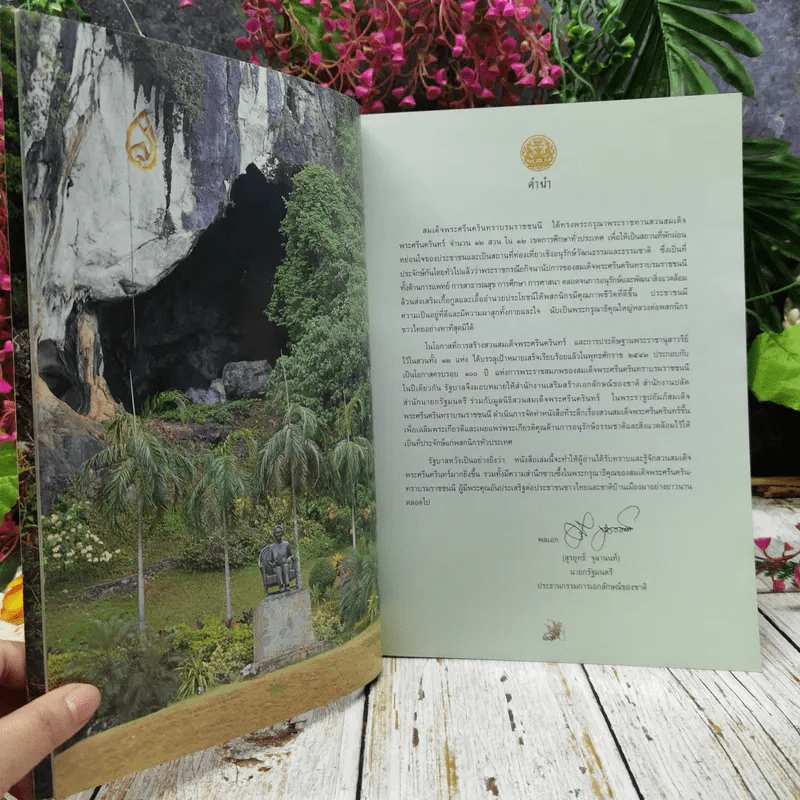 สวนสมเด็จพระศรีนครินทร์ รูปที่ 6