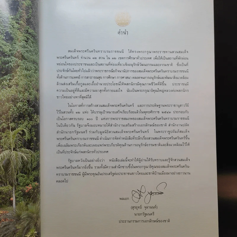 สวนสมเด็จพระศรีนครินทร์ รูปที่ 13