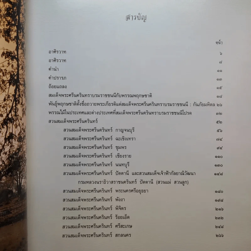 สวนสมเด็จพระศรีนครินทร์ รูปที่ 14