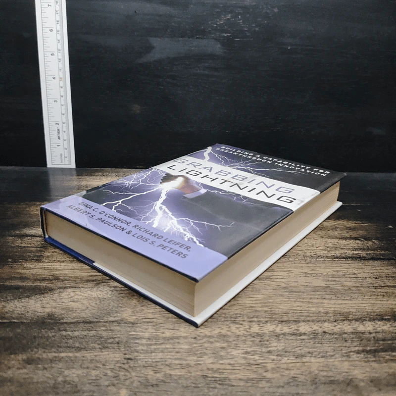 Grabbing Lightning - Gina C. O'Connor รูปที่ 4