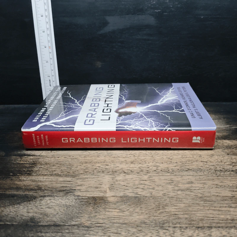 Grabbing Lightning - Gina C. O'Connor รูปที่ 3