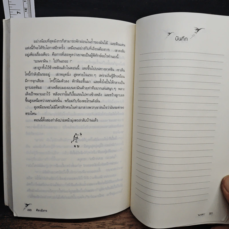 ศิลามังกร - ทิม บาวเลอร์, นารดา รูปที่ 8