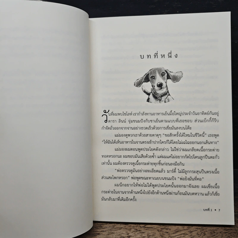 ไชโลห์ เพื่อนรักหูตูบ - ฟิลลิส เรย์โนลด์ส เนย์เลอร์ รูปที่ 7