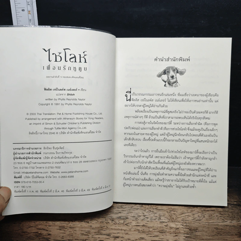 ไชโลห์ เพื่อนรักหูตูบ - ฟิลลิส เรย์โนลด์ส เนย์เลอร์ รูปที่ 6