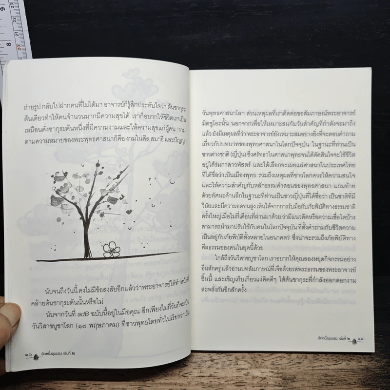 อีกหนึ่งมุมมอง เล่มที่ 2 - พระอาจารย์มิตซูโอะ คเวสโก รูปที่ 8