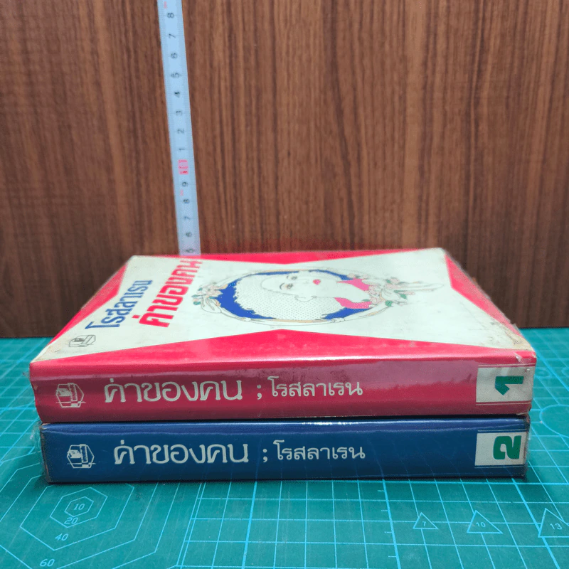 ค่าของคน 2 เล่มจบ - โรสลาเรน รูปที่ 2