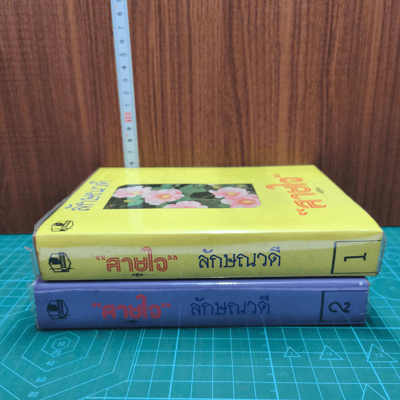 สายใจ 2 เล่มจบ - ลักษณวดี รูปที่ 2