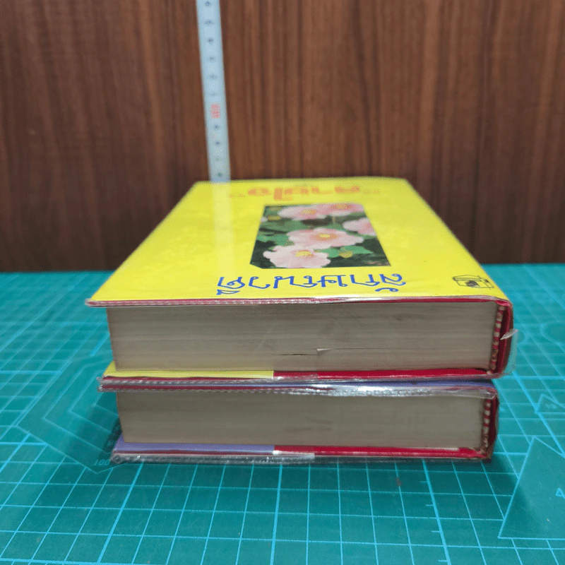 สายใจ 2 เล่มจบ - ลักษณวดี รูปที่ 4