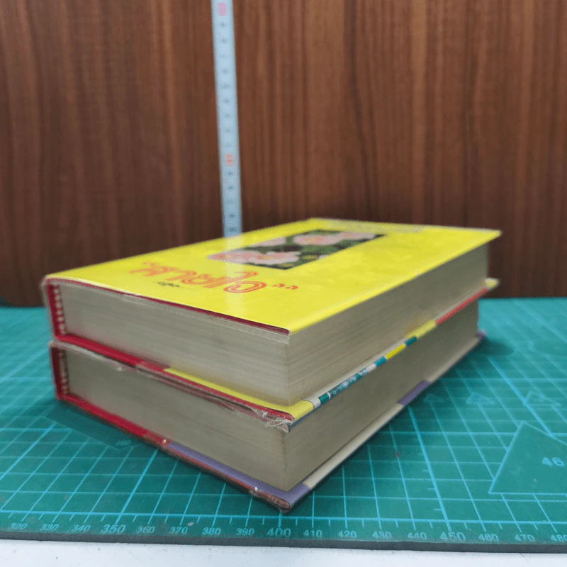 สายใจ 2 เล่มจบ - ลักษณวดี รูปที่ 3