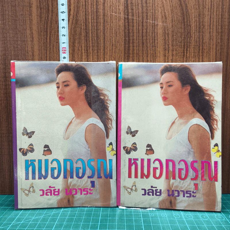 หมอกอรุณ - วลัย นวาระ รูปที่ 1