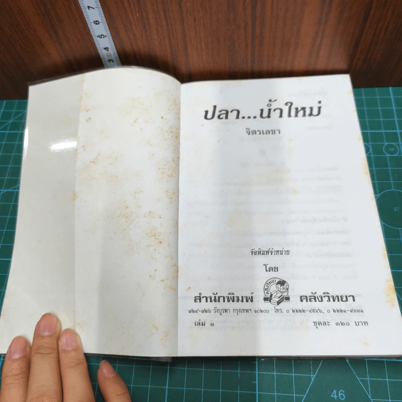 ปลาน้ำใหม่ 2 เล่มจบ - จิตรเลขา รูปที่ 6
