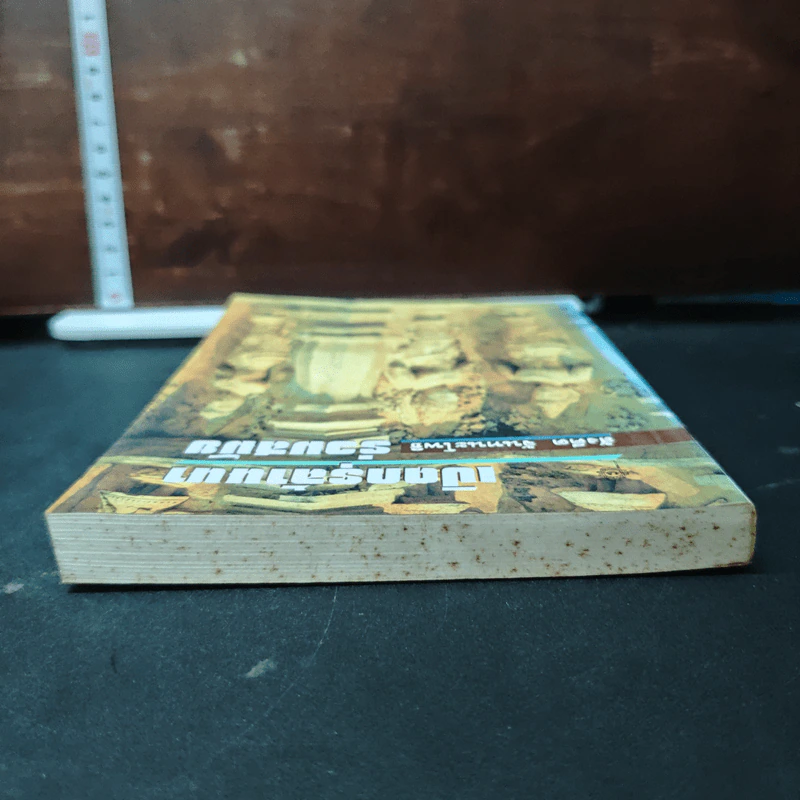 หนังสือ เปิดกรุล้านนาร่วมสมัย - สังคีต จันทนะโพธิ รูปที่ 5