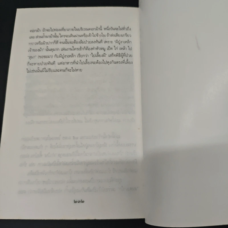 หนังสือ เปิดกรุล้านนาร่วมสมัย - สังคีต จันทนะโพธิ รูปที่ 9