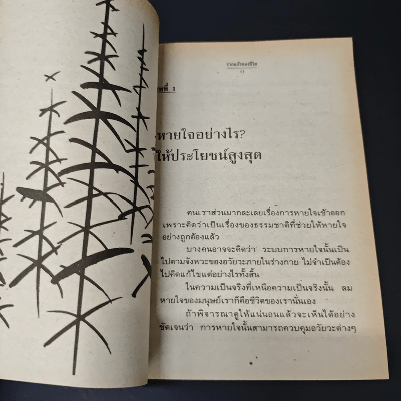 รากแก้วของชีวิต พลังแห่งปัญญา รูปที่ 8