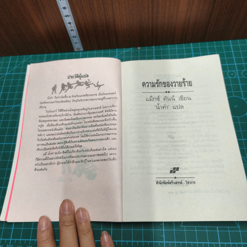 ความรักของวายร้าย รูปที่ 6