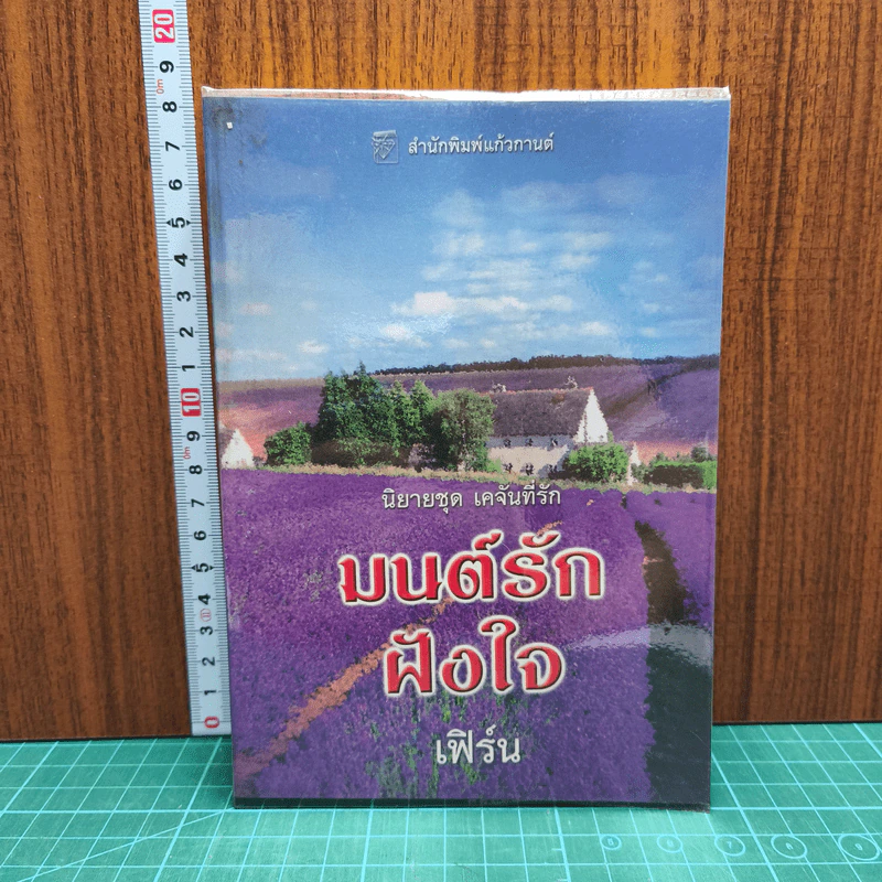 มนต์รักฝังใจ - เฟิร์น รูปที่ 1