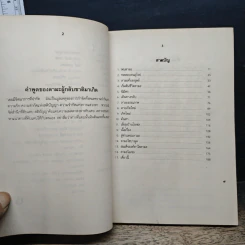 ลามะกลับชาติมาเกิด เป็นเด็กสเปน - วิกกี้ แมคเคน รูปที่ 7