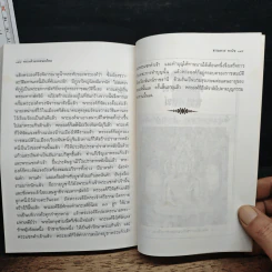 พระแก้วมรกตของไทย - ธรรมทาส พานิช รูปที่ 10