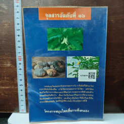 ต้นไม้ยา พืช ผัก ที่เป็นอาหารและยา รูปที่ 2