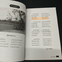 ว่าวใบกลอย - อุดร ทองน้อย รูปที่ 8