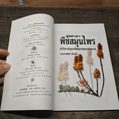 สุขศาลา พืชสมุนไพร: ตำรับการปรุงยาเพื่อสุขภาพและความงาม - กระยาทิพย์ เรือนใจ รูปที่ 6