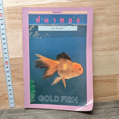 ปลาทอง - ชาติ ไชยณรงค์
