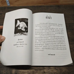 ปลาทอง - ชาติ ไชยณรงค์ รูปที่ 6