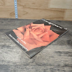 หนังสือ การปลูกกุหลาบ - จุฑามาศ รูปที่ 3