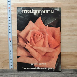 การปลูกกุหลาบ - จุฑามาศ