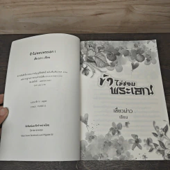 ข้าไม่ชอบพระเอก! - เสี่ยวม่าว รูปที่ 6