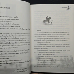 จอมโจรทะเลทราย - โสภี พรรณราย รูปที่ 7