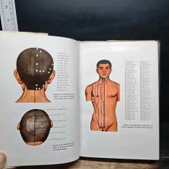 Dictionary of Acupuncture & Moxibustion - Shuai Xuezhong รูปที่ 7