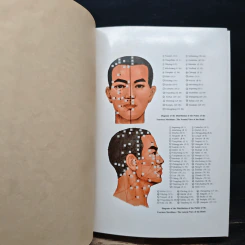 Dictionary of Acupuncture & Moxibustion - Shuai Xuezhong รูปที่ 6