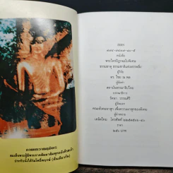 ธรรมธาตุ ธรรมชาติแห่งสรรพสิ่ง - ดร.ไชย ณ พล รูปที่ 6