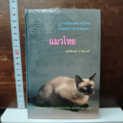 แมวไทย - สุทธิลักษณ์ อำพันวงศ์