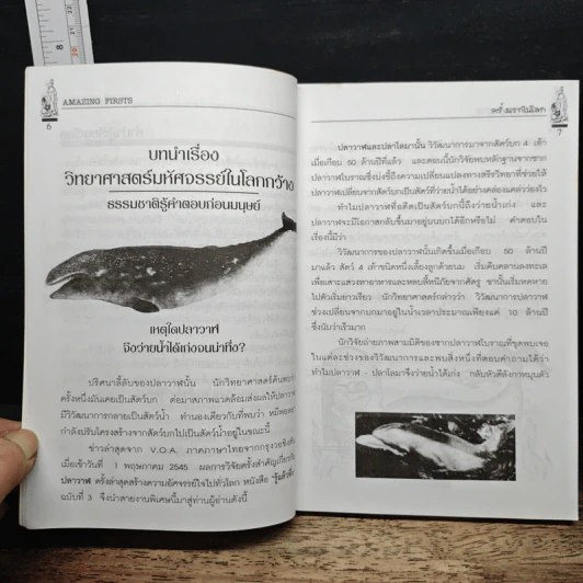 รู้แล้วทึ่ง Amazing Firsts ครั้งแรกในโลก - สัมพันธ์ ก้องสมุทร รูปที่ 7