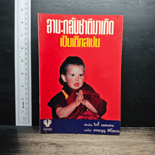 ลามะกลับชาติมาเกิด เป็นเด็กสเปน - วิกกี้ แมคเคน รูปที่ 1