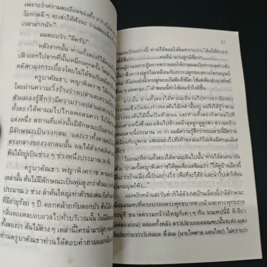 นิมิตพิศวง ตอน ปราสาทหินเขาพนมรุ้ง - ไพศาล แสนไชย รูปที่ 7