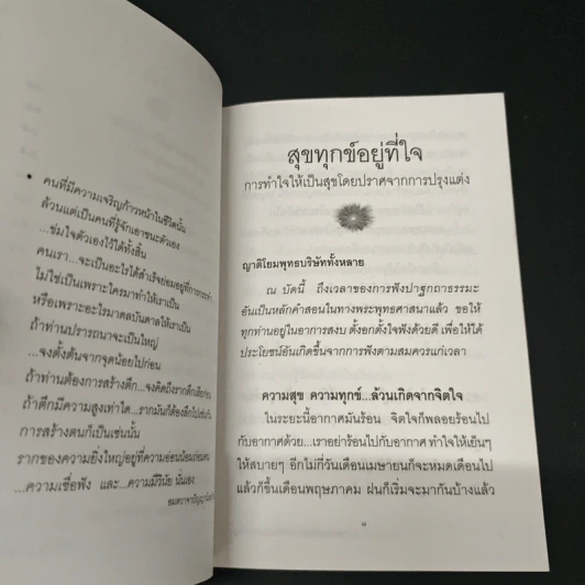สุขทุกข์อยู่ที่ใจ - พระพรหมมังคลาจารย์ (ปัญญานันทภิกขุ) รูปที่ 7
